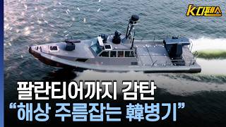 [여의도튜브] 팔란티어까지 감탄 "해상 주름잡는 韓병기" / 머니투데이방송