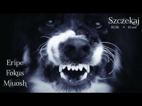 Eripe x Fokus x Miuosh - Szczekaj (DZiMi Blend) 2017