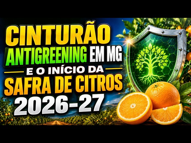 Cinturão Antigreening em MG e o Início da Safra de Citros 2026-27.