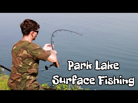 Surface Fishing for carp - Alfie Russell