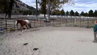 Jacques Cousteau 2014 Fall Video