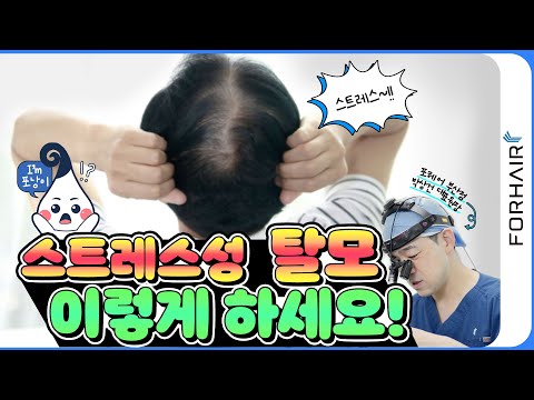 스트레스 탈모 이렇게 대처하세요!ㅣ포헤어 부산