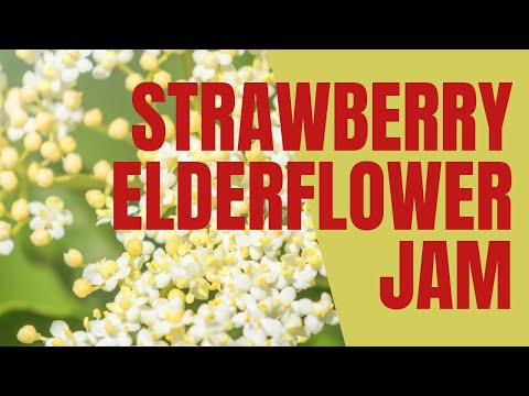 download lagu mp3 mp4 Strawberry Elderflower Jam, download lagu Strawberry Elderflower Jam gratis, unduh video klip Strawberry Elderflower Jam