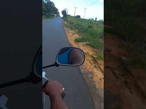 estrada de guajara Amazonas