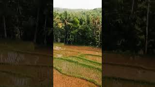 Download lagu hey Ari sia saha #doelsumbang #bandung #pemandangan mp3