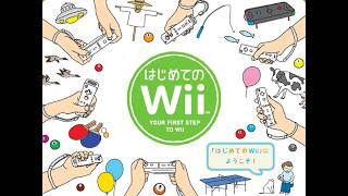 夏休みが無いものによるはじめてのWii