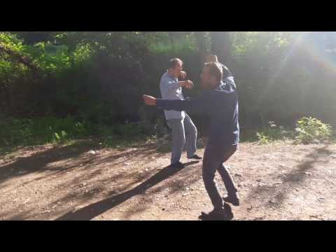 erik dali  DUZCE modeli