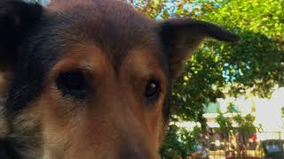 Boy - Odesza (Homemade video)