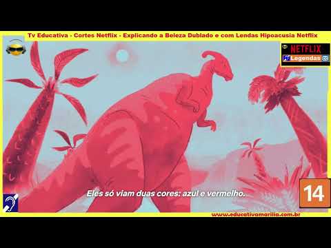 Tv Educativa   Cortes Netflix   Explicando a Beleza Dublado e com Legendas Hipoacusia Netflix Corte 03