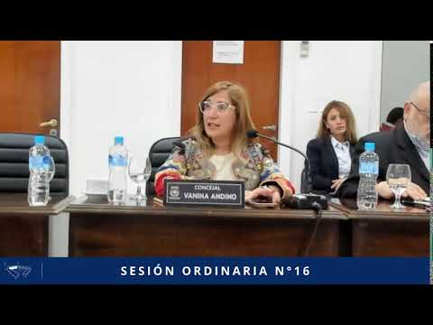 SESIÓN ORDINARIA N° 16