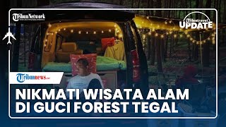 Sediakan Penginapan Sejuk dan Bisa Nikmati Campervan, Guci Forest Hadir dengan Konsep Villa Kayu