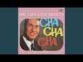 Mr. Cha Cha Medley: Tea For Two / Mi Amor Se Fue / Andalucia / Stormy Weather Que Emocion / La...