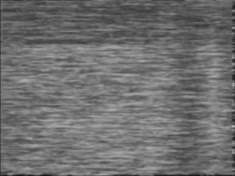 Transatlantic TVDX Ch A2 Canadian Analogue TV Received in Portugal