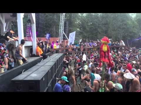 Cause & Effect  - Shambhala 2015 @ The Pagoda