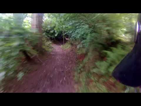 download lagu mp3 mp4 Timewell, download lagu Timewell gratis, unduh video klip Timewell