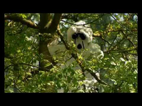 samir barris clip "le fossé"