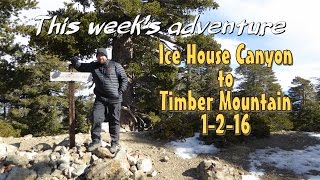 Timber Mountain Hike via Ice House Canyon