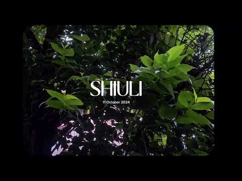 October pill - Shiuli