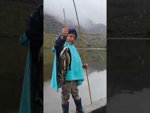 Paramo Del Almorzadero , Chitaga Norte de Santander #musica  #campo #carranga #musicademitierra
