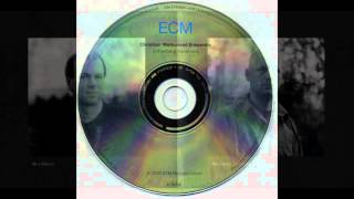Christian Wallumrød Ensemble  - Alas Alert (album Sofienberg Variations 2003)