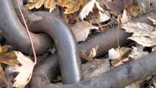 Gimme Little Something