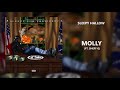 Sleepy Hallow Molly Ft Sheff G 432Hz