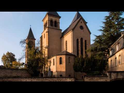 Der Willibrordusweg - In 6 Etappen von Prüm nach Echternacherbrück (84 km)