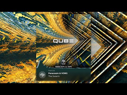 Paracozm & VORG - The Swarm