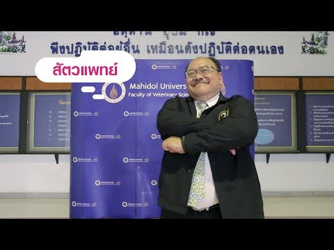 Exciter สำหรับผู้หญิงกับการทำงาน ยาโป๊สำหรับสตรีหลัง 50