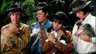 AUNTIES MUNICIPAL COURT--THE MONKEES (NEW ENHANCED VERSION0 720P