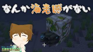 【マイクラ実況】このオウムガイ....海老感なくない？『NewCraft！大都市を作ろう！』# 64