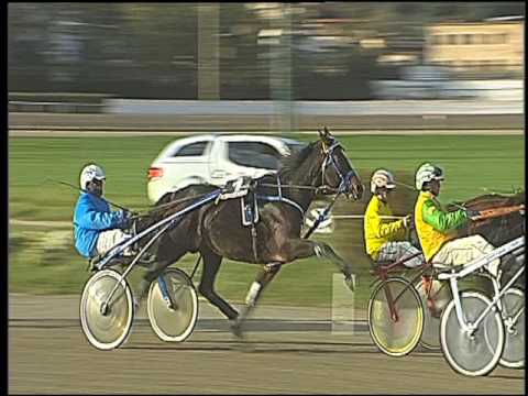 Trotto 11/11/2016 - 2ª corsa