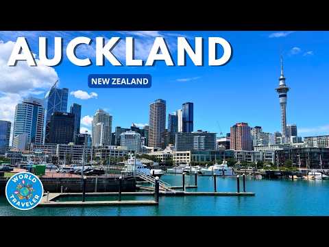 Auckland Summer 4K Walking Tour | Discover the BEST of the City