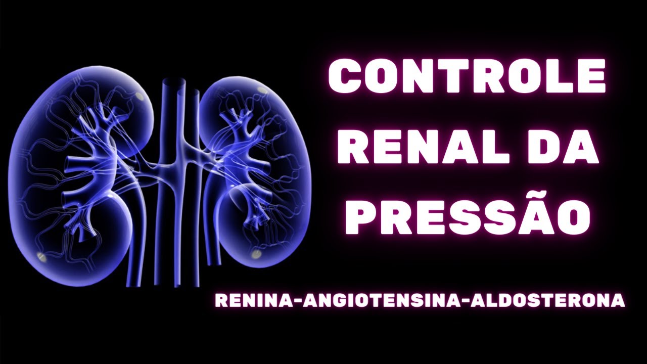 Controle renal da pressão - Sistema renina-angiotensina-aldosterona