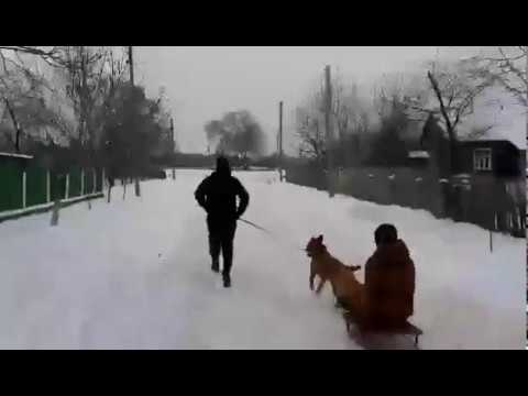 Cu sania prin Sculeni