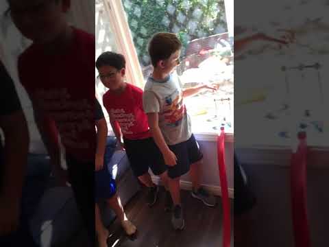 Evan Asher Dylan Rube Goldberg