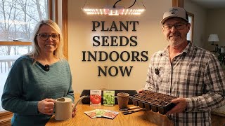 The $0.50 Bet: Why I’m Skipping the Nursery This Year.