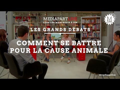 « Il faut politiser la cause animale »