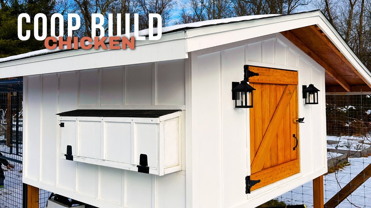 Ultimate Backyard Chicken Coop Build Timelapse