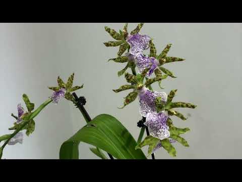 Update for March 2022