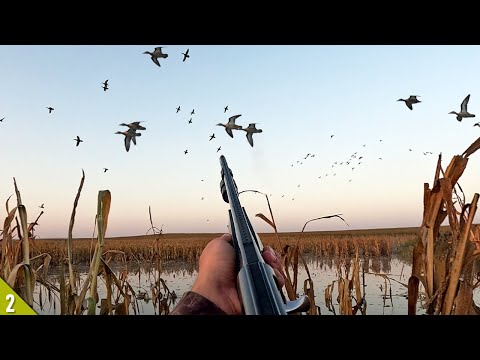 OPENING DAY Duck Hunt in FLOODED CORN! (Limited Out) | 28 Gauge Duck Hunting