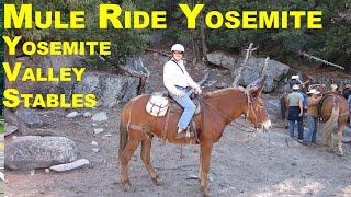 preview picture of video 'Yosemite Mule Ride to Clarks Point / Nevada Falls (Full HD)'