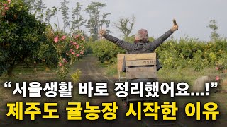 서울살이 그만두고, 제주에서 귤농사 시작한 이유 [제주도 귀농, 감귤농사, 은퇴]