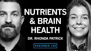 Download lagu Dr Rhonda Patrick Micronutrients for Health Longev... mp3