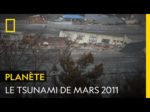 Ce tsunami de 40 mètres de haut a ravagé le Japon en 2011 | AU CŒUR DU DÉSASTRE