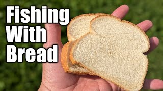 Fishing With Bread - CHEAP and EASY Way To Catch Fish