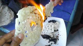 Download lagu Kerupuk yang di bakar menyala mp3