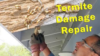Termite Treatment & Damage Repair
