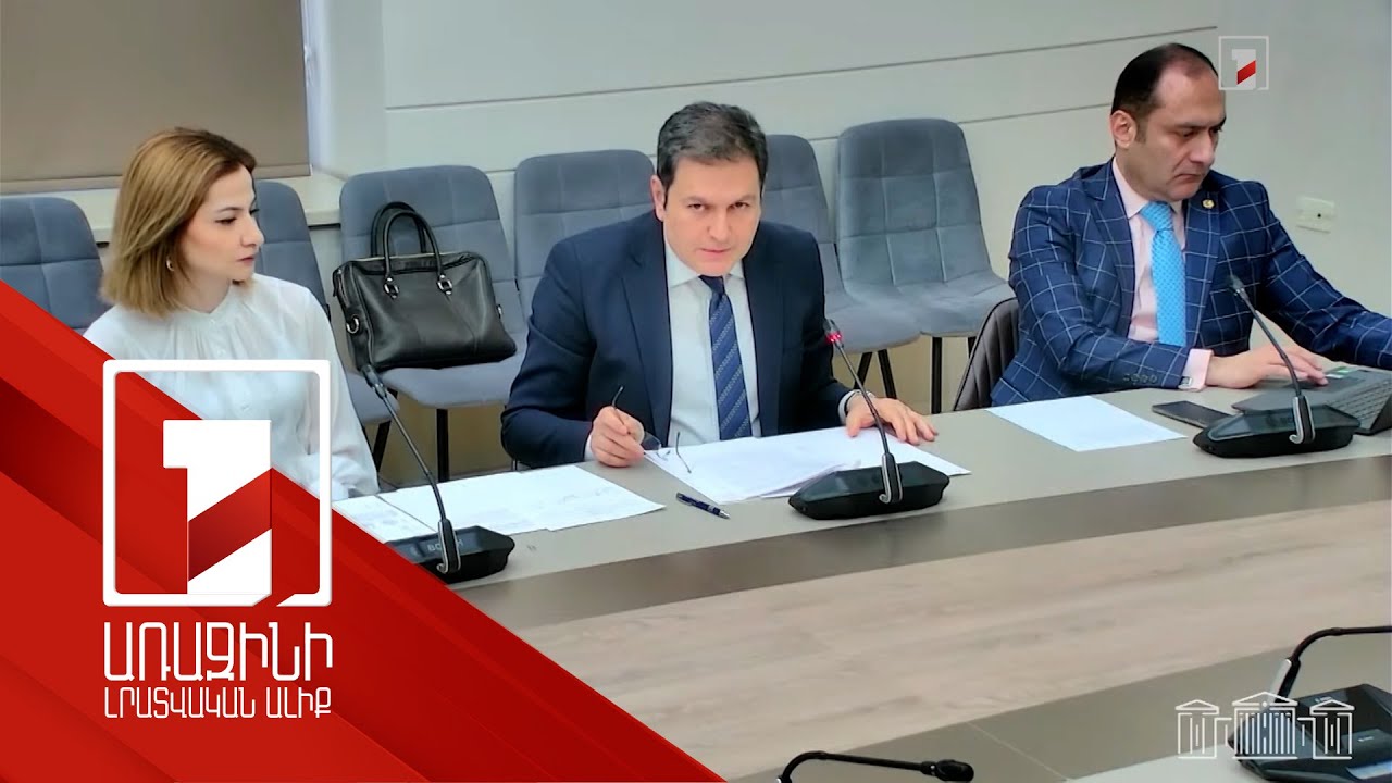 Երբ հնարավոր կլինի ունենալ ազատ վիզային ռեժիմ ԵՄ երկրների հետ. փոխնախարարի պարզաբանումները