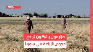 مزارعون يشكون تراجع جدوى الزراعة في سوريا